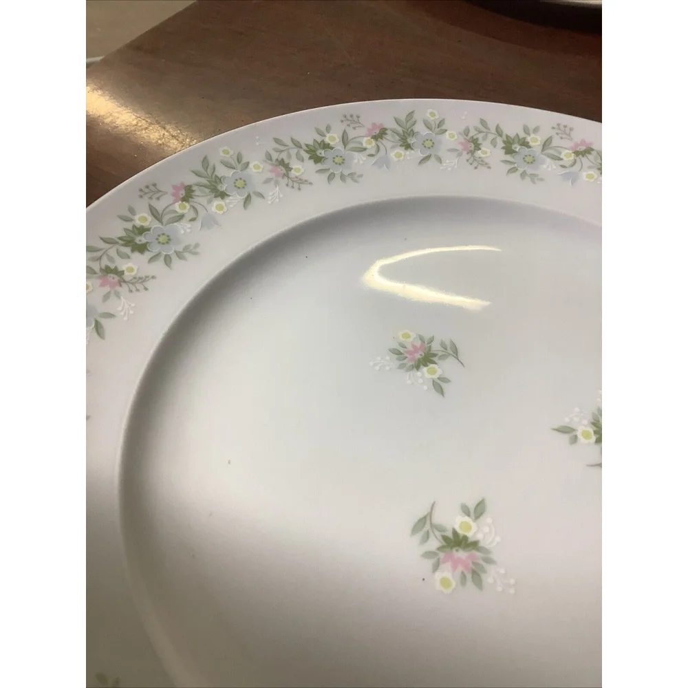 Johann Haviland Dinner Plate Bavaria Germany Forever Spring China 10